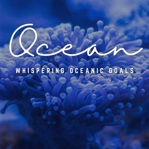 Mystic Ocean Meetings: Workplace Serenity
