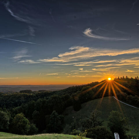 Sunrise Serenade: Nature's Awakening Melodic Dance