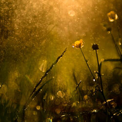 Cosmic Cradle Waterscape