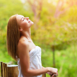 Nature Relaxation Bliss in Sparrow's Chirp