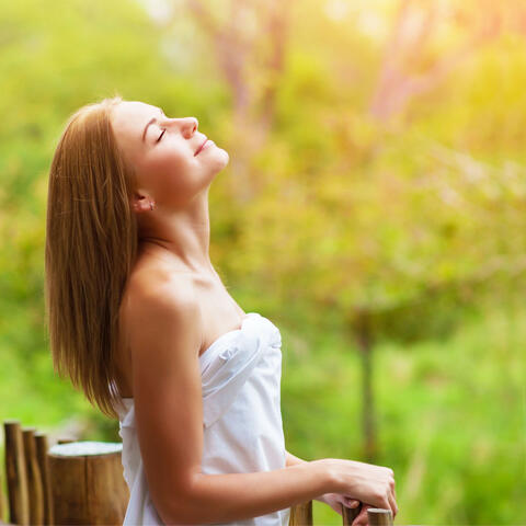 Nature Relaxation Bliss: Bird Song's Riverside Harmony