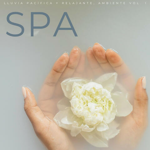Spa: Lluvia Pacífica Y Relajante, Ambiente Vol. 1