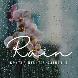 Raindrop Whispers in Sleep