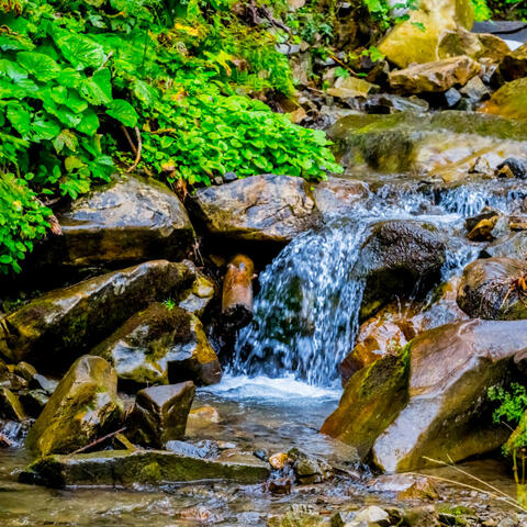 Gentle Waterside Whispers: Chill Music Water