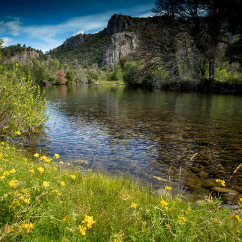 Relaxing Music: Cascading Waterside Harmony