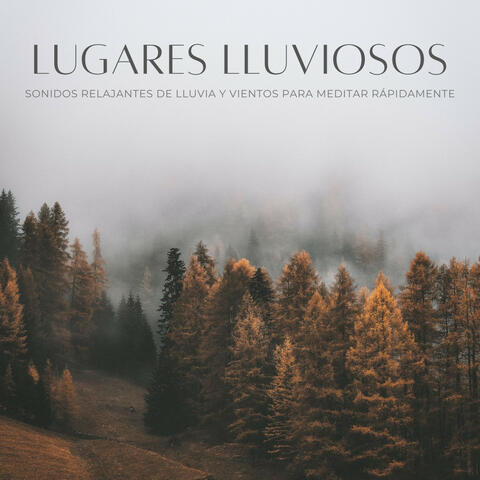 Lugares Lluviosos: Sonidos Relajantes De Lluvia Y Vientos Para Meditar Rápidamente
