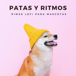 Ritmos Para Calmar Mascotas