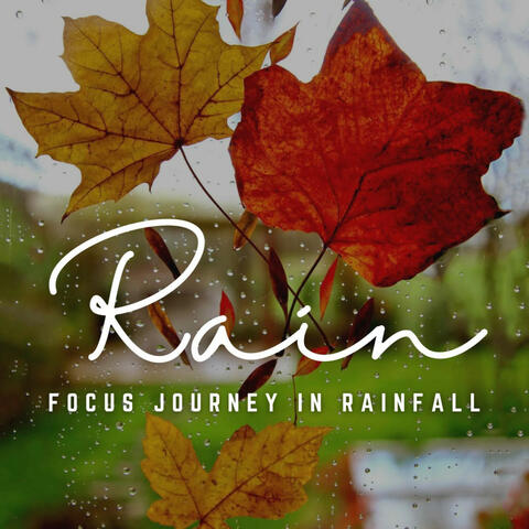 Concentration Rainfall: A Journey to Deep Focus