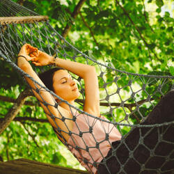 Nature Dawn Rest Serene