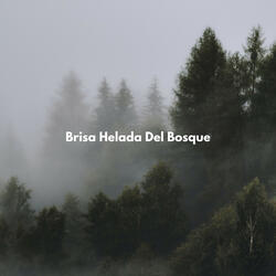 Fuerte Cascada