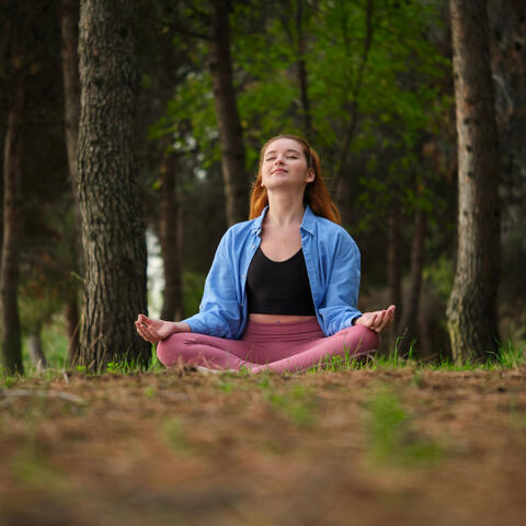 Nature Chorus of Meditation: Crickets and Rain Birds in Harmony