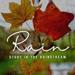 Study in the Rainstream