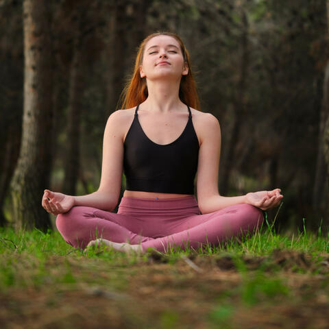Meditation Harmony in Twilight: Insect Serenade with Peaceful Nature