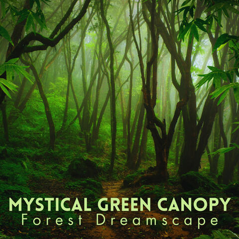 Mystical Green Canopy: Forest Dreamscape