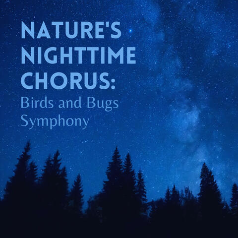Nature's Nighttime Chorus: Birds and Bugs Symphony