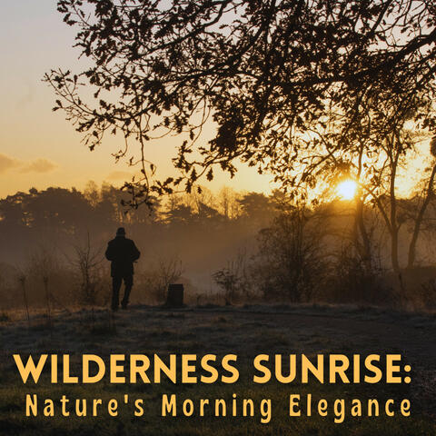 Wilderness Sunrise: Nature's Morning Elegance