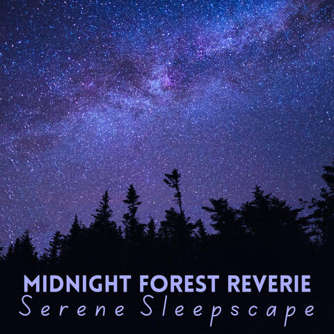 Midnight Forest Reverie: Serene Sleepscape