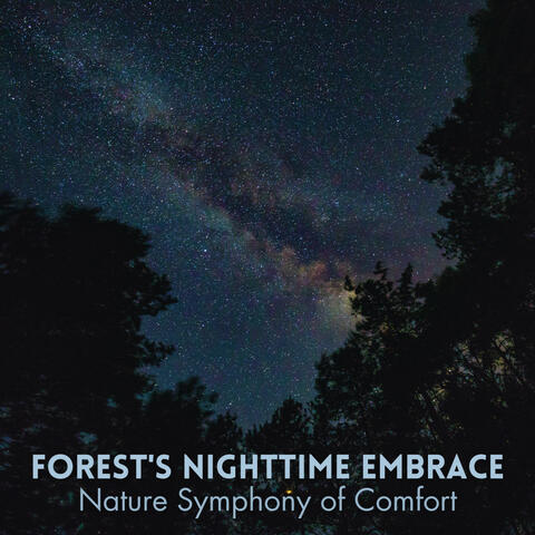Forest's Nighttime Embrace: Nature Symphony of Comfort