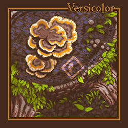 Versicolor