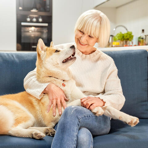 Pet's Serenity: Piano Rain's Calming Melodies