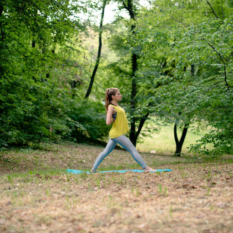Raindrops on the Piano: Yoga's Inner Journey