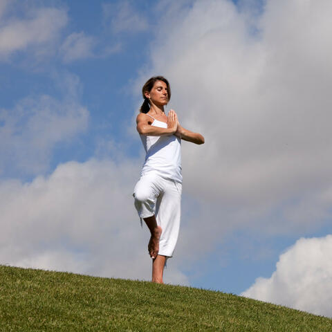 Mindful Breath: Lofi Yoga Harmony for Balance