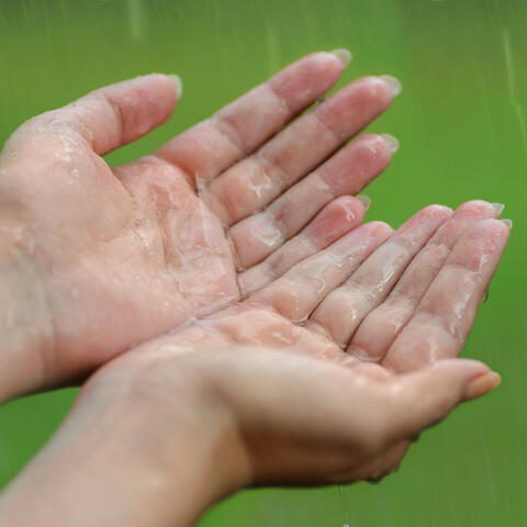 Rainy Reflections: Healing Raindrops of Serenity