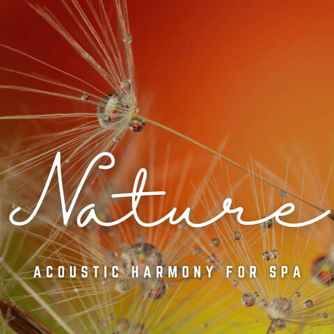Relaxation Oasis: Acoustic Harmony for Spa Delights