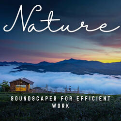 Soundscapes for Workday Harmony