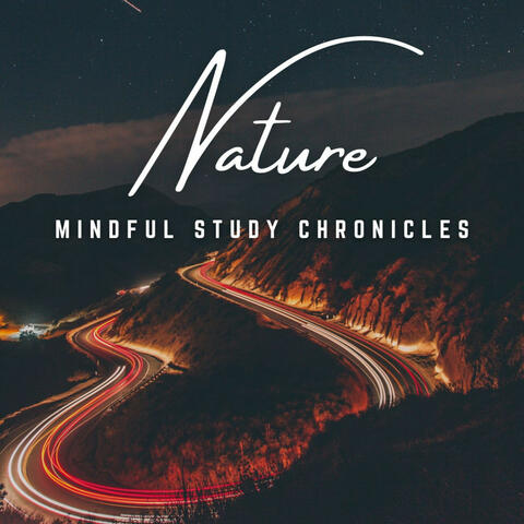 Mindful Study Melodies: A Learning Quest