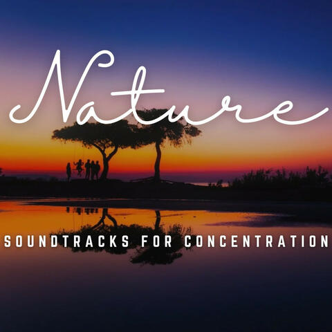 Mindful Study Sessions: Soundtracks for Concentration