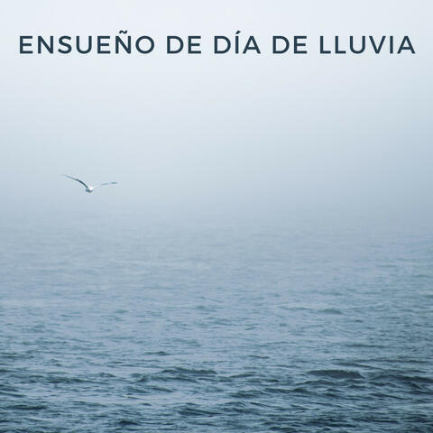 Ensueño De Día De Lluvia