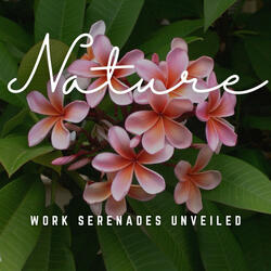 Serenades for Task Efficiency
