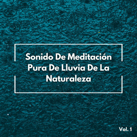 Sonido De Meditación Pura De Lluvia De La Naturaleza Vol. 1