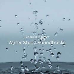 Rainforest Study Resonance