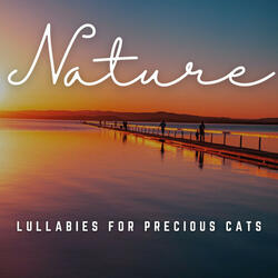 Dream Lullabies for Your Cat's Naps