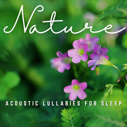 Serenades in Acoustic Harmony