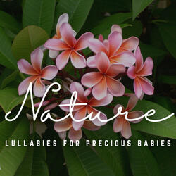 Melodic Melodies for Newborn Peace