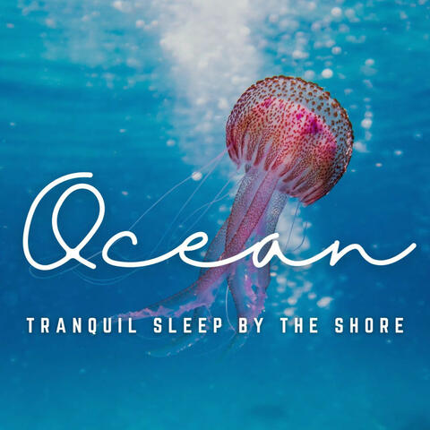 Ocean's Peaceful Rest: Sailing into a Night of Tranquility