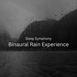 Calm Night with Binaural Rain
