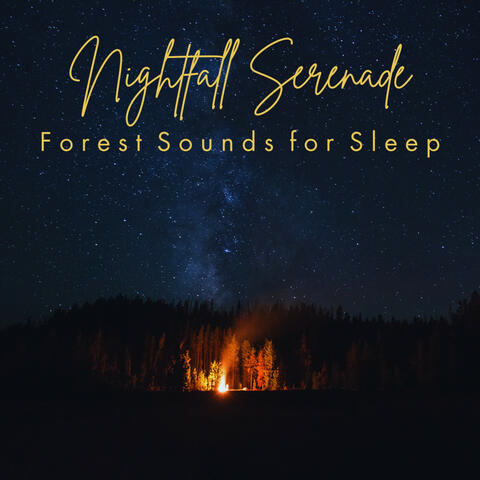 Nightfall Serenade: Forest Sounds for Sleep