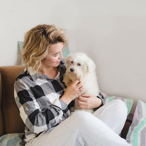 Raindrop Serenity: Piano Harmony for Beloved Pets