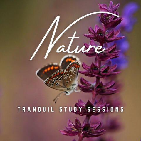 Tranquil Study Sessions: Earthly Bliss
