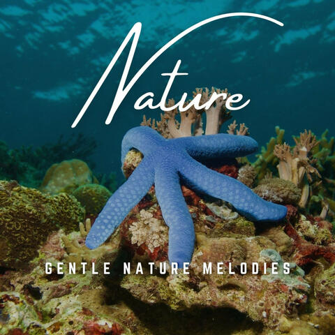 Furry Companions: Gentle Nature Melodies