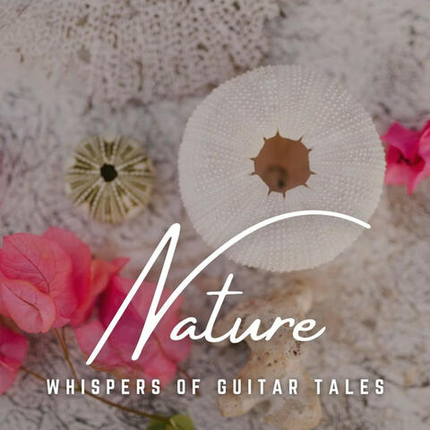 Guitar Tales: Acoustic Adventures
