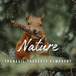 Tranquil Thoughts Symphony