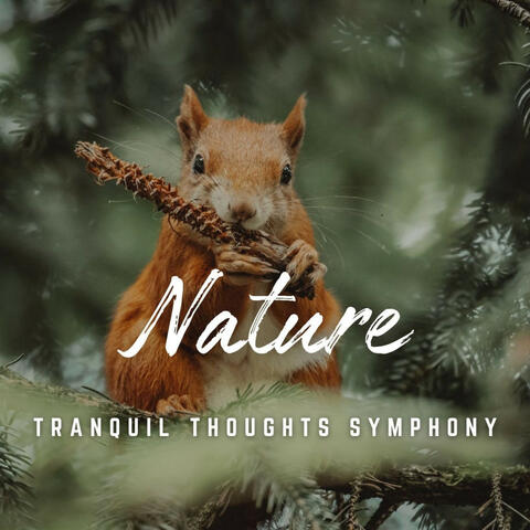 Tranquil Mind Focus: Nature's Aid