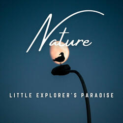 Soothing Baby's Wonderlands