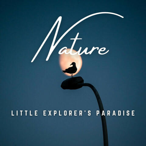 Little Explorer's Paradise: Nature's Wonders