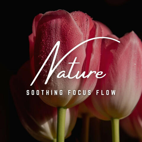 Soothing Focus Flow: Natural Calm